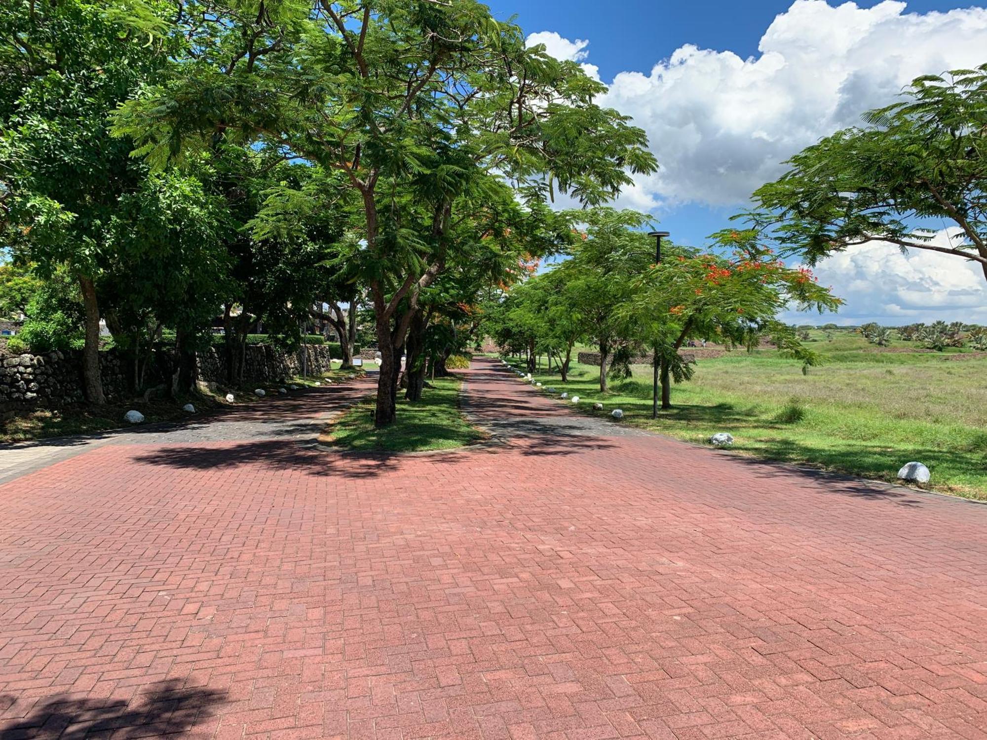 Palm Creek Mont-Choisy